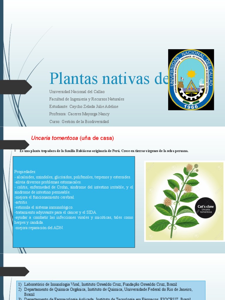 QU PLANTAS NATIVAS HAY EN TU LOCALIDAD PER visual data 8