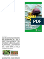 Manual de Plaga Del Frijol PDF