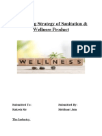 Marketing Strategy of Sanitation&Wellness Product