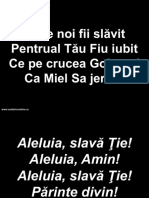 005 de Noi Fi Slavit PDF