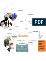 Mapa Mental Orientacion