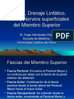 Fascias y Nervios Superficiales Del Miembro Superior