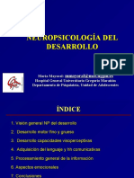 Neuropsicologia Del Desarrollo