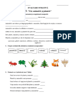 Test de Evaluare Sumativa Civica