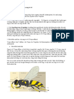 Một số đặc điểm sinh học của ong vò vẽ