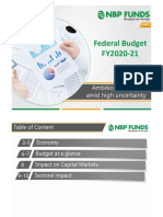 NBP Funds Take On Federal Budget FY2021 PDF