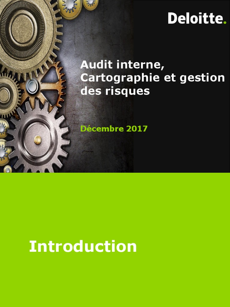 Audit Interne Cartographie Et Gestion Des Risques - Dec 2017 | PDF ...