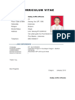 Curriculum Vitae: Job Experience