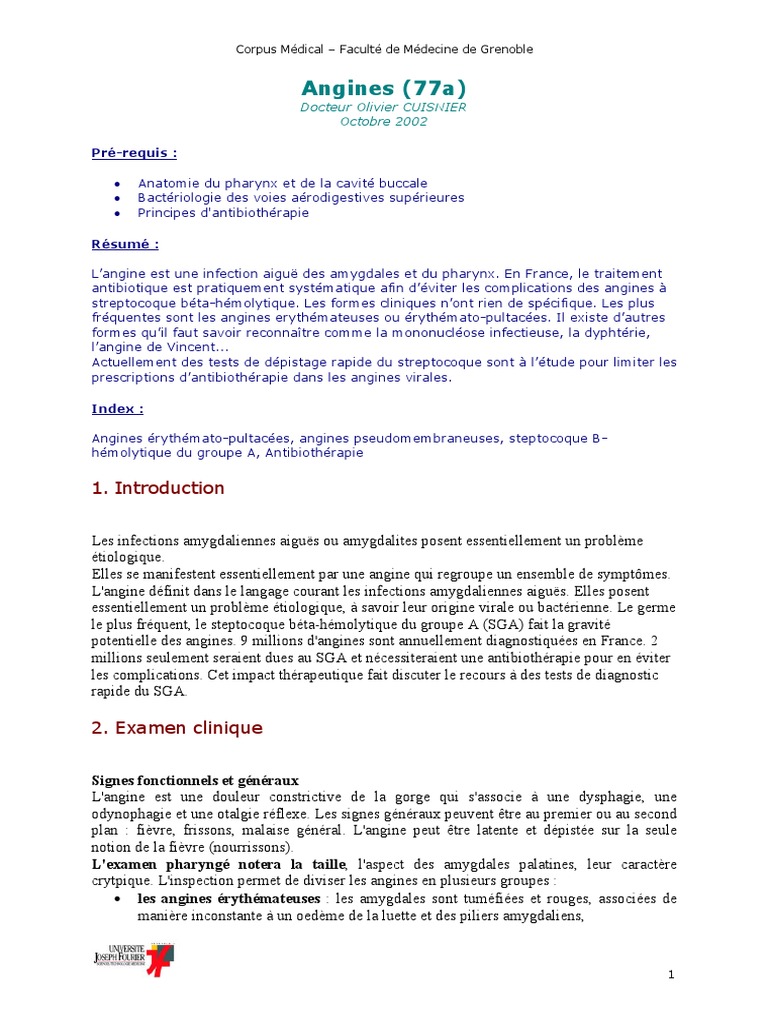 Comprendre les Angines : Types et Traitements | PDF | Santé publique | RTT