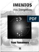 Alimentos energeticos yamamura 2.pdf