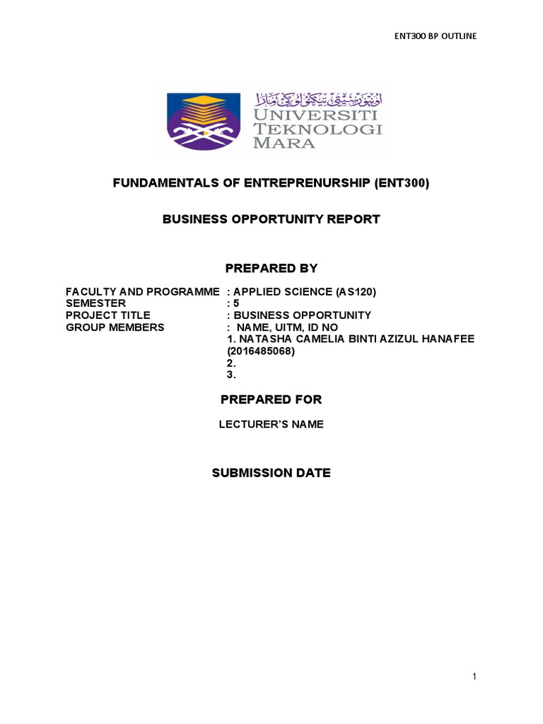 Business Opportunity Template Sept18 Pdf Business Economies