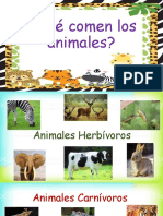 Qué Comen Los Animales