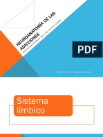 4. Neuroanatomia de las Adicciones 2 (Amígdala) Psic. Ramón Salcido