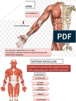 PresentaciN POR TERMINAR (23