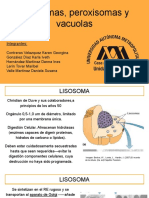 Lisosomas, Peroxisomas y Vacuolas.