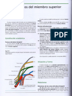 Plexo Braquial Latarjet PDF