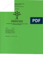 validacion (1).pdf