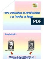 Trabalhos de Morgan PDF