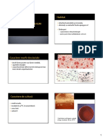9 Clostridium.pdf