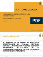 2 - Mecanismos de Toxicidad