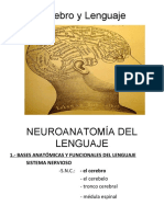 Apuntes Review Lenguaje y Cerebro