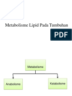 Metabolisme Lemak