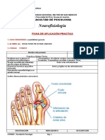 FORMATO DE PRACTICA (1) Sensibilidad