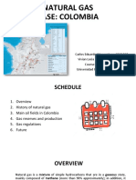 Natural Gas Case: Colombia