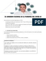 El Gobierno Nacional en la Pandemia COVID 19 (2).pdf