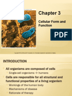 Cellular Form and Function