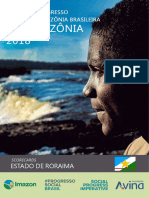 IPS Amazônia 2018 - Scorecard Roraima