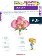 La Flor para Cuarto Grado de Primaria PDF