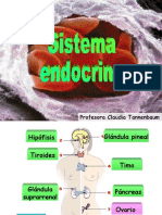 2° Medio - Sistema Endocrino