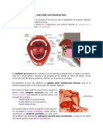 Anatomia de Digestivo I