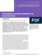 Proteínas Recombinantes en Bacterias