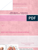 Kelenjar Adrenal