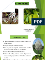 Pest of Pear Pest of Pear: N.Mugundhan PALB8139 N.Mugundhan PALB8139