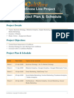 CultStone Live Project Schedule PDF