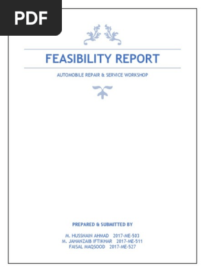 Project Feasibility Report for Automobile Repair(1)