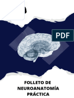 Neuroanatomía Práctica.