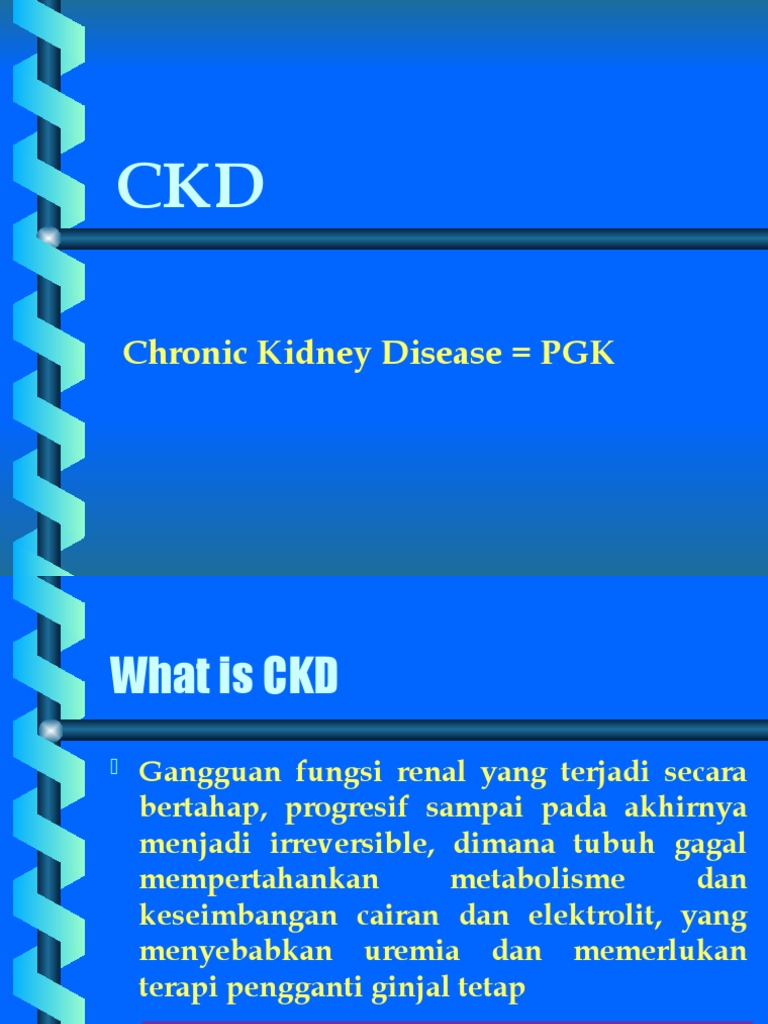 Materi CKD 2019 | PDF | Chronic Kidney Disease | Renal Function
