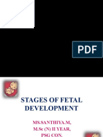 Stages of Fetal Development Final