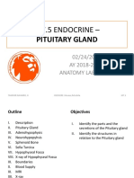 M7.5 Endocrine - : Pituitary Gland