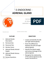 M7.5 Endocrine - : Adrenal Gland