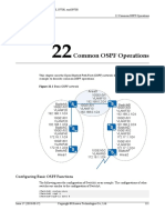 01-22 Common OSPF Operations