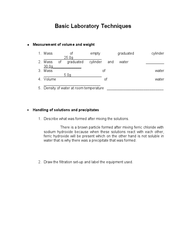 Chem Lab Report PDF Filtration Precipitation (Chemistry)