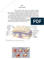 Lp Craniotomi.docx