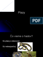 Plazy