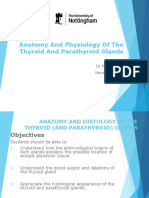 Anatomy and Physiology of The Thyroid and Parathyroid Glands