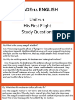 His First Flight Question and Answer
